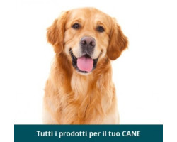 Cani